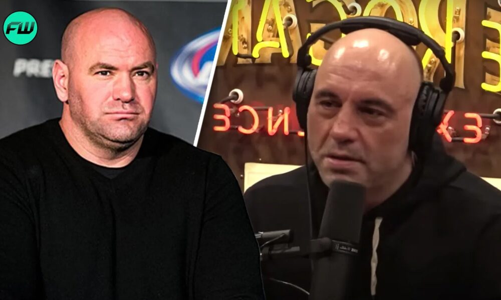 Joe Rogan Net Worth