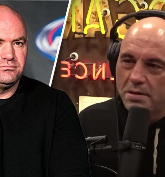 Joe Rogan Net Worth